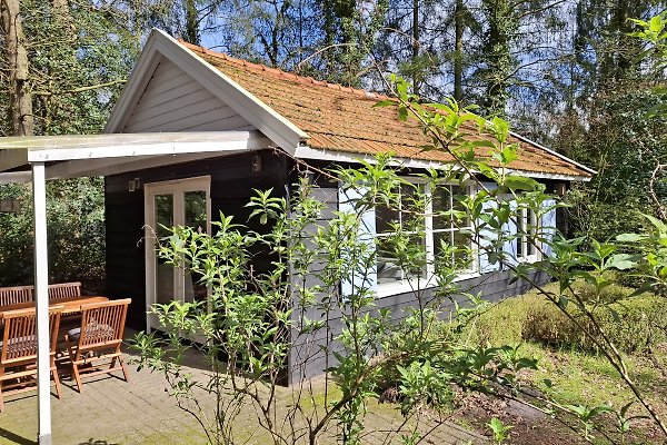 Ferienhaus Beerze bij Ommen