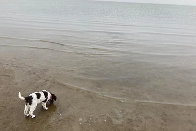 Ferienwohnung Nordsee Whng 1