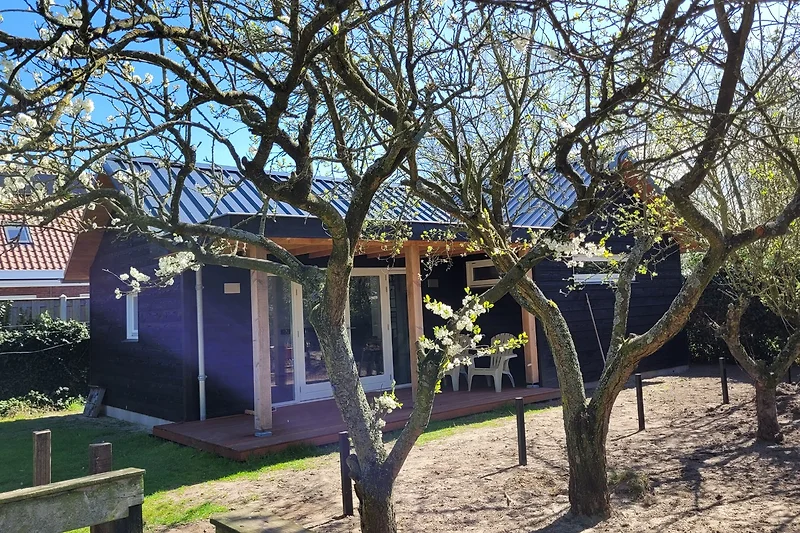 Freistehendes Haus mit überdachtem Eingang, Hof und Nebengebäude.