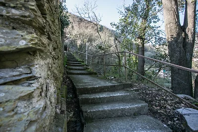 PASSO SELVATICO