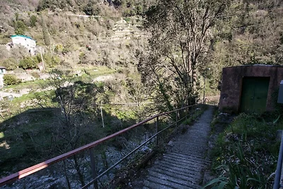 PASSO SELVATICO