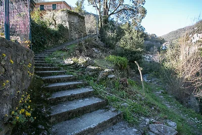 PASSO SELVATICO