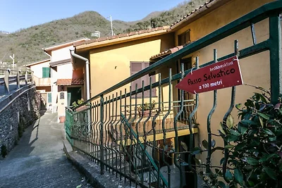 PASSO SELVATICO