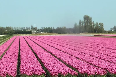 De Blenck 32 - Haus Antje