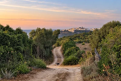 Casa Horizonte Off grid Nature