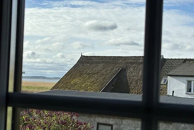 OstseeNest Haus am Achterwasser