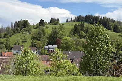 TinHarz
