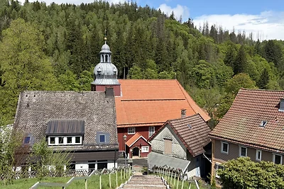 TinHarz
