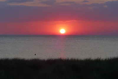 Parkresidenz Dierhagen - App. 104