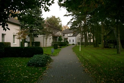 Parkresidenz Dierhagen - App. 104