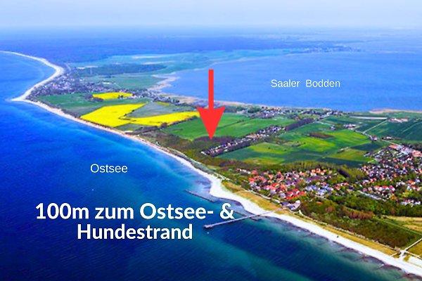 Ferienhaus Ahrenshoop