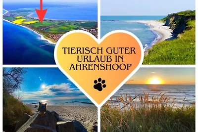 Ferienhaus Ostseehund in Ahrenshoop