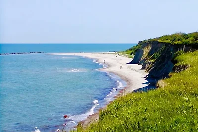Ferienhaus Ostseehund in Ahrenshoop
