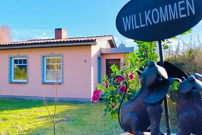 Ferienhaus Ostseehund in Ahrenshoop