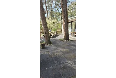 Ferienwohnung Uelsen