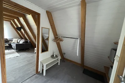 Dachzelt Oase Damp
