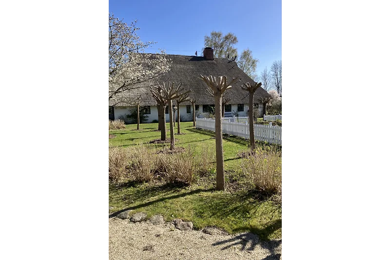 Grüner Außenbereich mit gepflegtem Weg, Zaun und vielseitiger Bepflanzung.