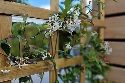 Chalet met wellness-tuin