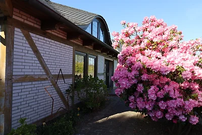Ferienhaus an der Nordsee