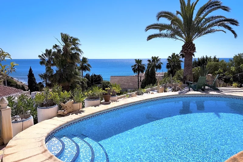 Pool mit Meerblick, Palmen, Sonnenliegen und stilvollen Outdoor-Möbeln.