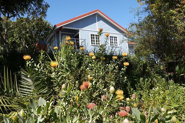 Ferienhaus Knysna