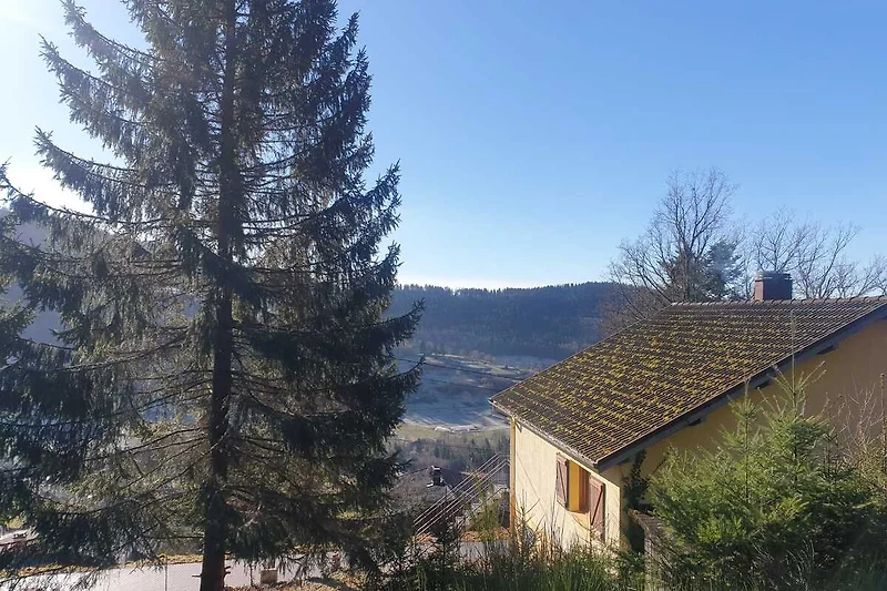 Cottage am Hang, umgeben von immergrünen Kiefern und Tannen.