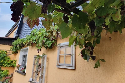 Ferienhof Siedlungsglück