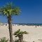 gospođa S. Bracchi