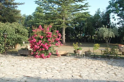 Petit Château