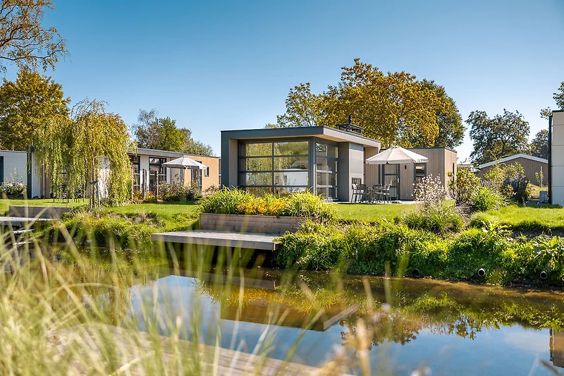 Naturteich mit Seerosen, Schilf und Wasserpflanzen im Parkambiente.