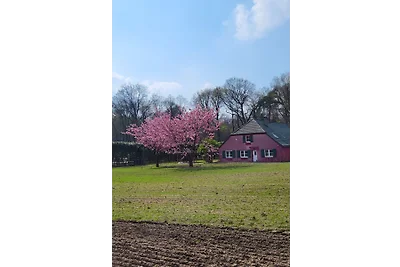 Ferienhaus am Wald Holtwick