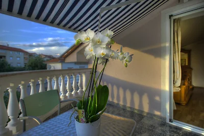 Villa Buric - FeWo mit Garten