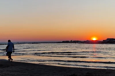 L'Odyssée marine