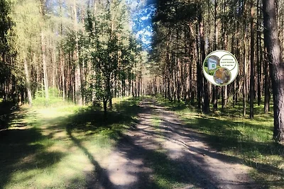EntspannungsZeit am Kluger See