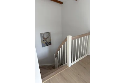 Apartment Fasanenhof