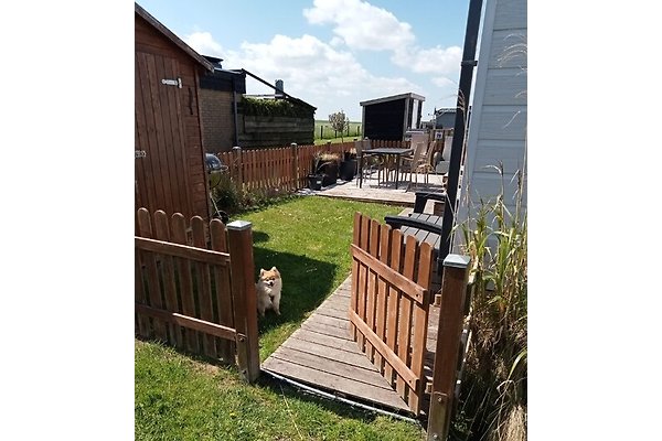 Ferienhaus Westerland