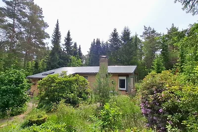 Waldhaus in der Heide