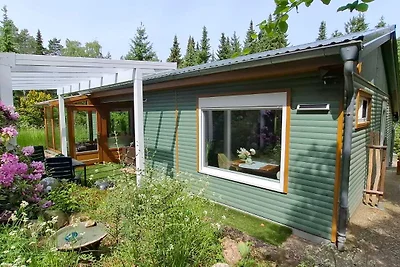 Waldhaus in der Heide