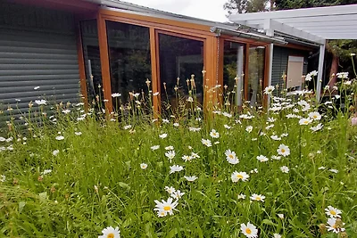 Waldhaus in der Heide