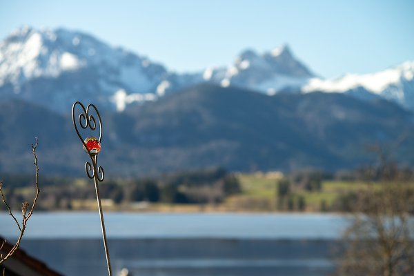 Ferienwohnung Hopfen am See