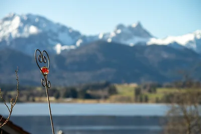 Haus Waldeck