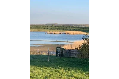 Chalet Zeeland aan kust