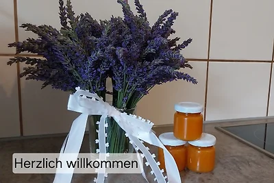 Elbschleife in ruhiger Lage