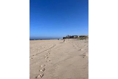 TOP   Strandslag 314 "Golden Love"