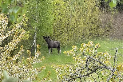 Norra Bromsatra Gård 4