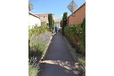 Lavende