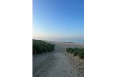 Stormvogeltje