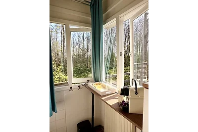 Stormvogeltje
