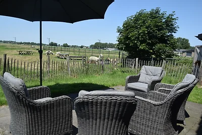 Alpaca IJsseldelta
