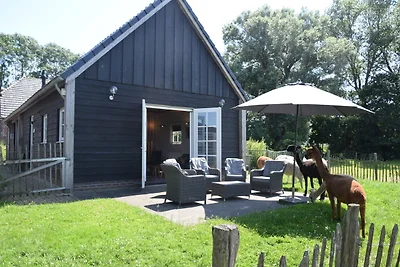 Alpaca IJsseldelta